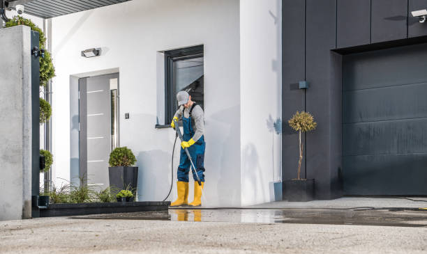 Best Brick and Stone Cleaning in Long Lake, MN